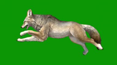 Bir tilkinin dijital illüstrasyon sanatı