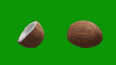 Yeşil arka planda iki parça hindistan cevizi ve iki parça yeşil hindistan cevizi. Sağlıklı gıda, diyet ve beslenme kavramı