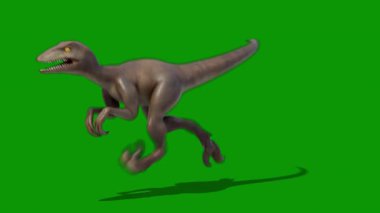 İzole edilmiş yeşil dinozorların 3 boyutlu görüntüsü