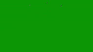 Pembe arka planda yeşil çiçek