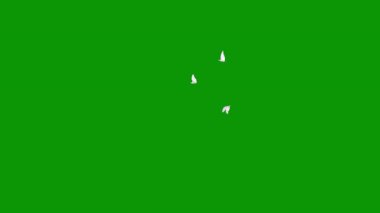 Siyah arka planda izole edilmiş yeşil bir yaprak.