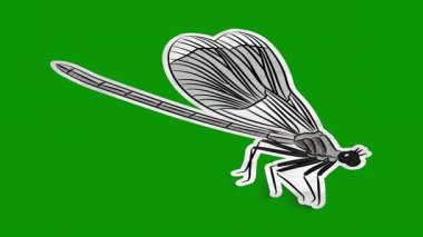 Yeşil arkaplanda yeşil yusufçuk vektörü