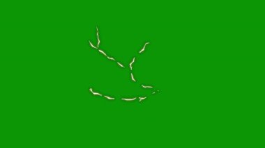 kopyalama alanı olan soyut yeşil arkaplan