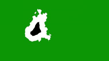 Madagaskar bayrağı grunge tarzı. Vektör çizim