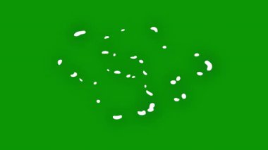 Yeşil yonca yaprağı arka plan