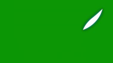 Bir ülkede maldivlerin bayrağı.