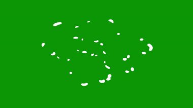 küçük beyaz benekli yeşil arkaplan.