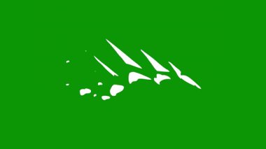 İran 'ın yeşil bayrağı