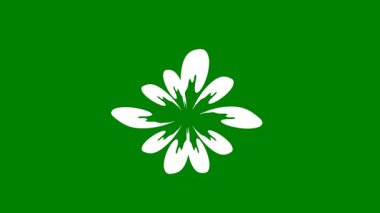 Simge vektör yeşil yaprak