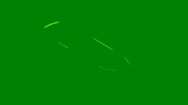 bir arka plan üzerinde yeşil yaprak