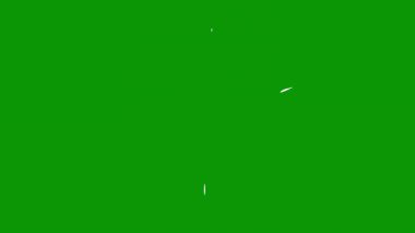 Yeni Zelanda eyaletinin bayrağı, Yeni Hampshire