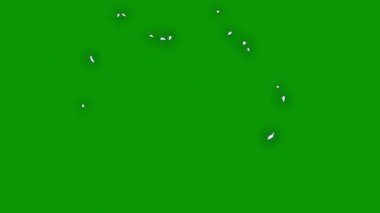 beyaz arkaplan ile yeşil ve mavi arkaplan