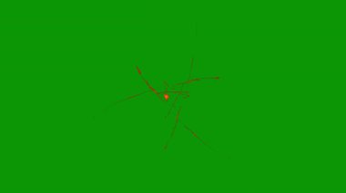 arka plan yeşil çizgili