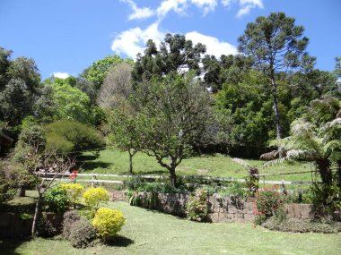 Bu huzurlu bahçe sahnesine kaçmak. Yeşillik, canlı çiçekler ve ılık güneş ışığı huzurlu ve huzurlu bir atmosfer yaratır, rahatlatıcı anlar için mükemmeldir..