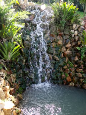 Küçük, çağlayan bir şelale canlı yeşil yapraklar ve bitkilerle çevrili kayalık bir duvarın üzerine düşüyor..