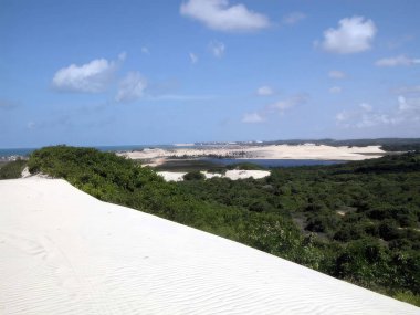 Uçsuz bucaksız beyaz kum tepecikleri canlı yeşil bir ormanla karşılaşıyor, açık mavi gökyüzüne doğru uzanan dağınık bulutlarla..