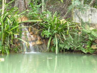 Küçük bir şelalenin bol yeşilliklerle çevrili sakin, yeşil bir gölete döküldüğü sakin doğal bir manzara..