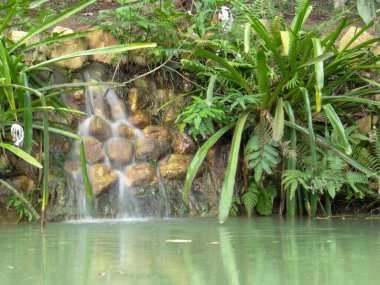 Küçük, çağlayan bir şelale kayaların üzerinden süzülür, yemyeşil bir su kütlesine, yemyeşil yapraklarla çevrili..