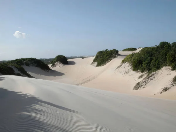 Expansive sand dunes with sparse green vegetation under a bright, clear blue sky, suggesting a coastal or desert landscape.