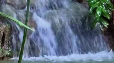 Yeşil bitki manzarasıyla çevrili kayaların üzerinde çağlayan şelale.