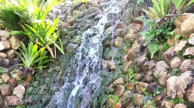 Etrafında yemyeşil bitkiler büyüyen kayalık bir yamaçtan aşağı çağlayan su.