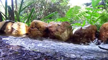 Bereketli yeşil orman bölgesinde kayaların üzerinden akan suyun alçak açılı görüntüsü.