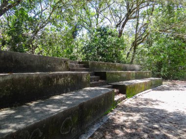 Doğal ormanlık alanda yosun ve bitki örtüsü ile yıpranmış beton bir yapı..