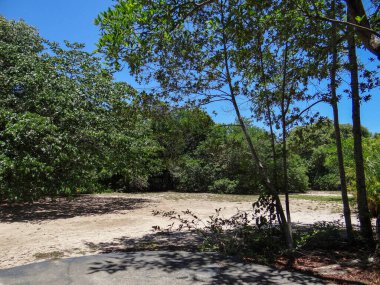 Berrak mavi gökyüzünün altında, kumlu zeminde gölgeler bırakan yemyeşil ağaçlarla çevrili güneşli bir açıklık..
