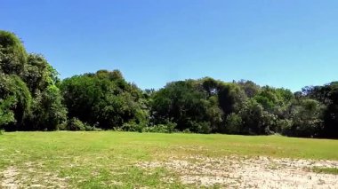 Bereketli yeşillik berrak mavi gökyüzü ile buluşur bu sakin açık hava manzarasında, huzurlu bir manzara manzarası.