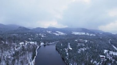 Buzlu çam ormanlarıyla çerçevelenmiş karlı bir nehrin havadan çekilmiş kış manzarası..