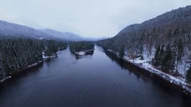 Karlı dağlık araziden ve kozalaklı ağaçlardan geçen kış nehrinin drone görüntüsü.