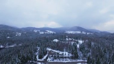 Donmuş bir kış nehrinin havadan görünüşü karlı bir dağ kanyonunu ve donmuş ağaçları kesiyor..