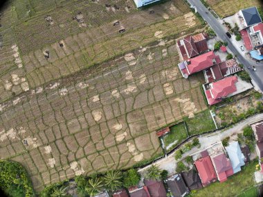 Sungai Penuh, Jambi, Endonezya 'daki tropikal ormanlarla çevrili yamaç manzarası. Highland bölgesinde teraslı arazi kullanımı, yeşil bitki örtüsü ve sürdürülebilir tarım gösteriliyor.