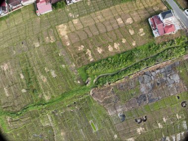 Sungai Penuh, Jambi, Endonezya 'daki tropikal ormanlarla çevrili yamaç manzarası. Highland bölgesinde teraslı arazi kullanımı, yeşil bitki örtüsü ve sürdürülebilir tarım gösteriliyor.