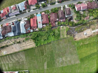 Sungai Penuh, Jambi, Endonezya 'daki tropikal ormanlarla çevrili yamaç manzarası. Highland bölgesinde teraslı arazi kullanımı, yeşil bitki örtüsü ve sürdürülebilir tarım gösteriliyor.