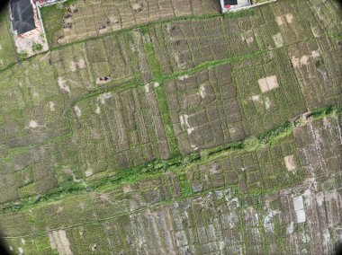 Sungai Penuh, Jambi, Endonezya 'daki tropikal ormanlarla çevrili yamaç manzarası. Highland bölgesinde teraslı arazi kullanımı, yeşil bitki örtüsü ve sürdürülebilir tarım gösteriliyor.