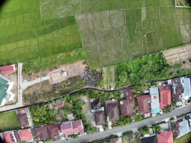 Sungai Penuh, Jambi, Endonezya 'daki tropikal ormanlarla çevrili yamaç manzarası. Highland bölgesinde teraslı arazi kullanımı, yeşil bitki örtüsü ve sürdürülebilir tarım gösteriliyor.