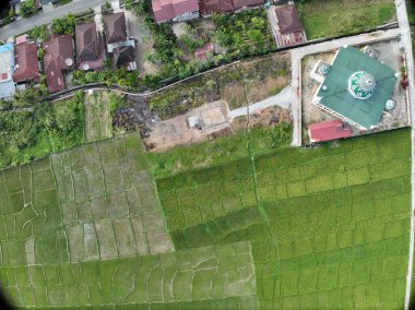 Sungai Penuh, Jambi, Endonezya 'daki tropikal ormanlarla çevrili yamaç manzarası. Highland bölgesinde teraslı arazi kullanımı, yeşil bitki örtüsü ve sürdürülebilir tarım gösteriliyor.