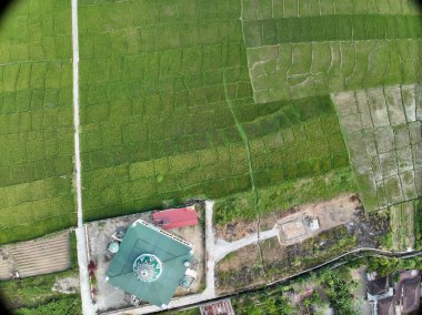 Sungai Penuh, Jambi, Endonezya 'daki tropikal ormanlarla çevrili yamaç manzarası. Highland bölgesinde teraslı arazi kullanımı, yeşil bitki örtüsü ve sürdürülebilir tarım gösteriliyor.