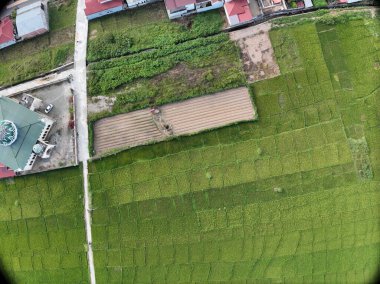 Sungai Penuh, Jambi, Endonezya 'daki tropikal ormanlarla çevrili yamaç manzarası. Highland bölgesinde teraslı arazi kullanımı, yeşil bitki örtüsü ve sürdürülebilir tarım gösteriliyor.