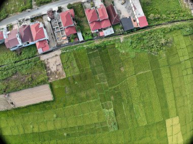 Sungai Penuh, Jambi, Endonezya 'daki kırsal yerleşim ve pirinç tarlalarının havadan görünüşü. Kentsel yayılmayı, tarım arazisi dönüşümünü ve tarım ve konut alanları arasındaki karışık kullanımlı manzarayı gösteriyor.
