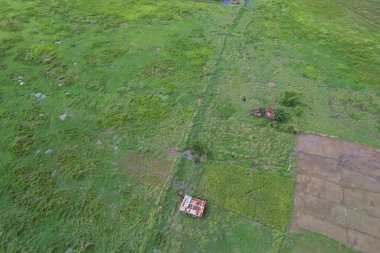 Sungai Penuh, Jambi, Endonezya 'daki kırsal yerleşim ve pirinç tarlalarının havadan görünüşü. Kentsel yayılmayı, tarım arazisi dönüşümünü ve tarım ve konut alanları arasındaki karışık kullanımlı manzarayı gösteriyor.