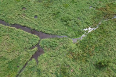 Sungai Penuh, Jambi, Endonezya 'daki kırsal yerleşim ve pirinç tarlalarının havadan görünüşü. Kentsel yayılmayı, tarım arazisi dönüşümünü ve tarım ve konut alanları arasındaki karışık kullanımlı manzarayı gösteriyor.