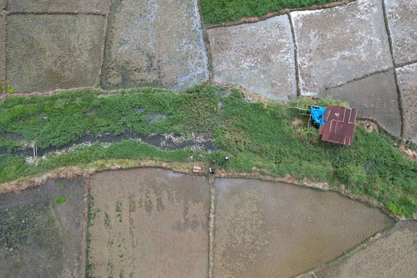 Sungai Penuh, Jambi, Endonezya 'daki kırsal yerleşim ve pirinç tarlalarının havadan görünüşü. Kentsel yayılmayı, tarım arazisi dönüşümünü ve tarım ve konut alanları arasındaki karışık kullanımlı manzarayı gösteriyor.