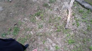 Sungai Penuh, Jambi, Endonezya 'daki tropikal ormanlarla çevrili yamaç manzarası. Highland bölgesinde teraslı arazi kullanımı, yeşil bitki örtüsü ve sürdürülebilir tarım gösteriliyor.