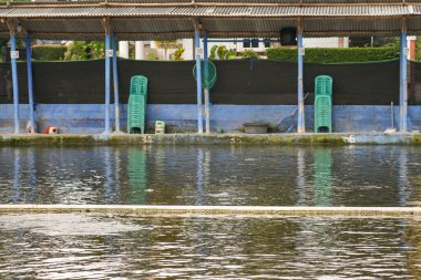 Endonezya 'da eğlence amaçlı balıkçılık: Numaralı balık tutma noktaları ve ekipmanlarıyla halka açık gölet.