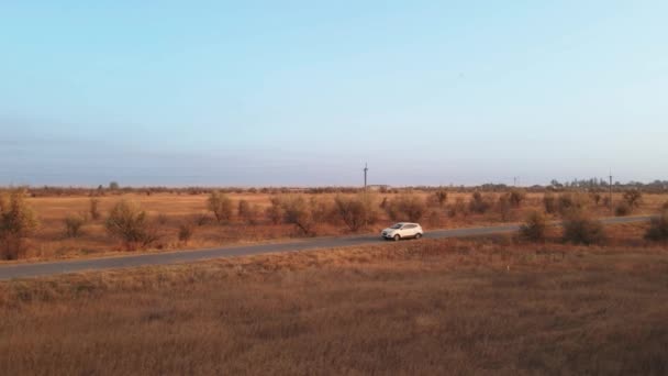 Белая машина едет с пустынной проселочной дороги между желтыми полями для сбора урожая. Сельская сцена, осенний сезон, съемки сверху — стоковое видео