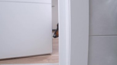 Banyoda banyo ve mikro masaj malzemelerinden yapılmış ıslak kumaşlar. Duşta kullandıktan sonra su damlıyor. Kapatın..