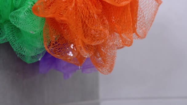 Мокрые разноцветные сетчатые салфетки из экологически чистого материала для купания и микромассажа висят на стене в ванной комнате, вода капает из них после использования в душе, крупным планом. — стоковое видео
