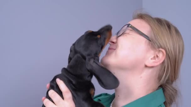 Attractive blonde woman picked up cute dachshund puppy to express her love and cuddle. She gently kisses recently adopted baby dog and pet reciprocates. — Stock Video